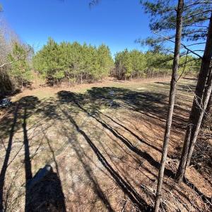 Photo #23 of SOLD property in Off Old Myrtle Road, Carrsville, VA 39.0 acres