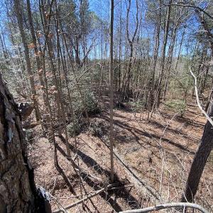 Photo #24 of SOLD property in Off Old Myrtle Road, Carrsville, VA 39.0 acres