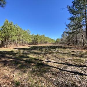 Photo #25 of SOLD property in Off Old Myrtle Road, Carrsville, VA 39.0 acres