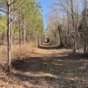 Photo #29 of SOLD property in Off Old Myrtle Road, Carrsville, VA 39.0 acres