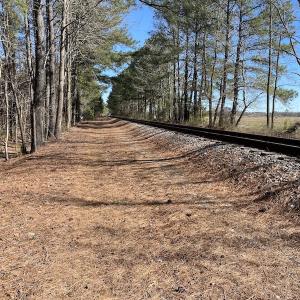 Photo #38 of SOLD property in Off Old Myrtle Road, Carrsville, VA 39.0 acres