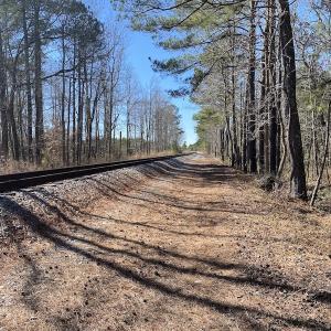 Photo #39 of SOLD property in Off Old Myrtle Road, Carrsville, VA 39.0 acres
