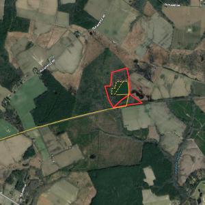 Photo #45 of SOLD property in Off Old Myrtle Road, Carrsville, VA 39.0 acres
