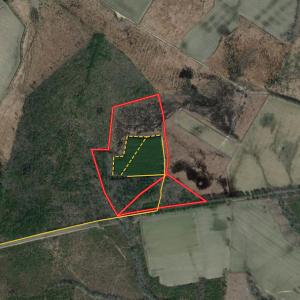 Photo #1 of SOLD property in Off Old Myrtle Road, Carrsville, VA 39.0 acres