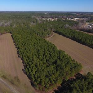 Photo #10 of SOLD property in Off Sawdust Road, Wilson, NC 12.5 acres