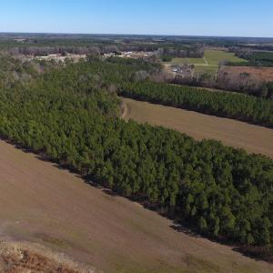 Photo #11 of SOLD property in Off Sawdust Road, Wilson, NC 12.5 acres
