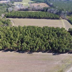 Photo #12 of SOLD property in Off Sawdust Road, Wilson, NC 12.5 acres
