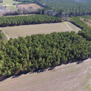 Photo #13 of SOLD property in Off Sawdust Road, Wilson, NC 12.5 acres