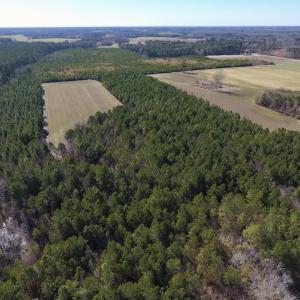 Photo #15 of SOLD property in Off Sawdust Road, Wilson, NC 12.5 acres