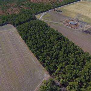 Photo #4 of SOLD property in Off Sawdust Road, Wilson, NC 12.5 acres