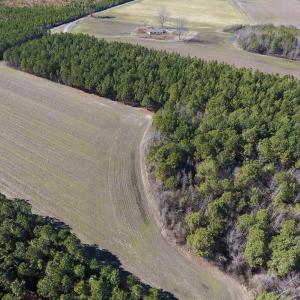 Photo #5 of SOLD property in Off Sawdust Road, Wilson, NC 12.5 acres