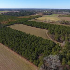 Photo #6 of SOLD property in Off Sawdust Road, Wilson, NC 12.5 acres