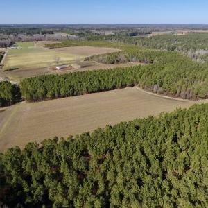 Photo #7 of SOLD property in Off Sawdust Road, Wilson, NC 12.5 acres