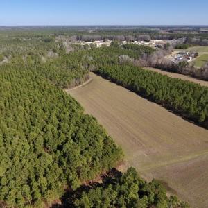 Photo #9 of SOLD property in Off Sawdust Road, Wilson, NC 12.5 acres