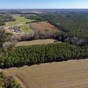 Photo #10 of SOLD property in Off Sawdust Road, Wilson, NC 13.1 acres