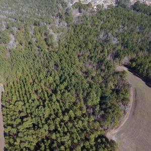 Photo #11 of SOLD property in Off Sawdust Road, Wilson, NC 13.1 acres