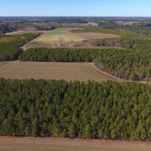 Photo #12 of SOLD property in Off Sawdust Road, Wilson, NC 13.1 acres