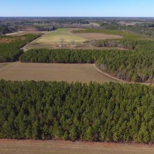 Photo #12 of SOLD property in Off Sawdust Road, Wilson, NC 13.1 acres