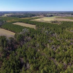 Photo #3 of SOLD property in Off Sawdust Road, Wilson, NC 13.1 acres
