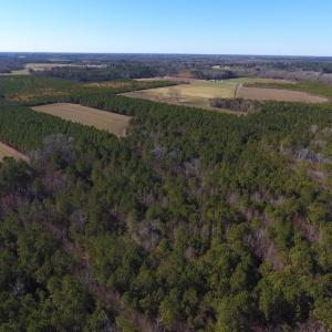 Photo #4 of SOLD property in Off Sawdust Road, Wilson, NC 13.1 acres