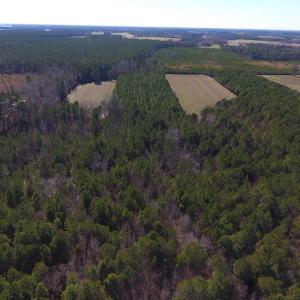 Photo #5 of SOLD property in Off Sawdust Road, Wilson, NC 13.1 acres