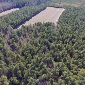 Photo #6 of SOLD property in Off Sawdust Road, Wilson, NC 13.1 acres