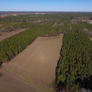 Photo #7 of SOLD property in Off Sawdust Road, Wilson, NC 13.1 acres