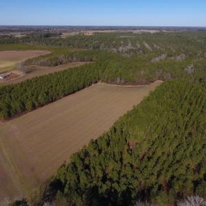Photo #8 of SOLD property in Off Sawdust Road, Wilson, NC 13.1 acres