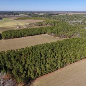 Photo #9 of SOLD property in Off Sawdust Road, Wilson, NC 13.1 acres