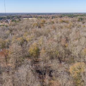 Photo #10 of SOLD property in Off NC 11, Albertson, NC 13.0 acres