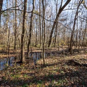 Photo #17 of SOLD property in Off NC 11, Albertson, NC 13.0 acres