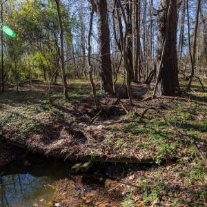 Photo #18 of SOLD property in Off NC 11, Albertson, NC 13.0 acres