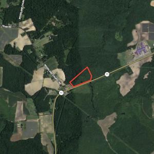 Photo #21 of SOLD property in Off NC 11, Albertson, NC 13.0 acres