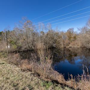 Photo #19 of SOLD property in Off NC 11, Albertson, NC 13.0 acres