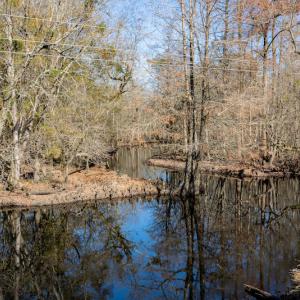 Photo #20 of SOLD property in Off NC 11, Albertson, NC 13.0 acres