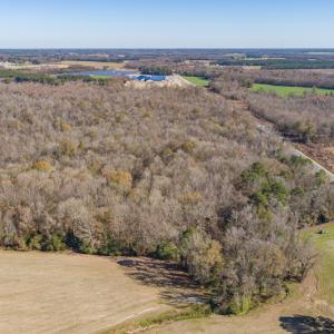 Photo #5 of SOLD property in Off NC 11, Albertson, NC 13.0 acres