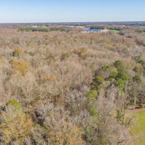 Photo #6 of SOLD property in Off NC 11, Albertson, NC 13.0 acres