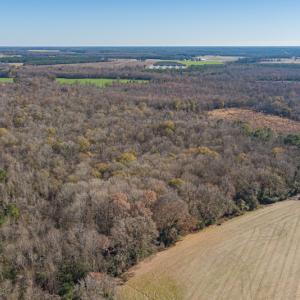 Photo #7 of SOLD property in Off NC 11, Albertson, NC 13.0 acres