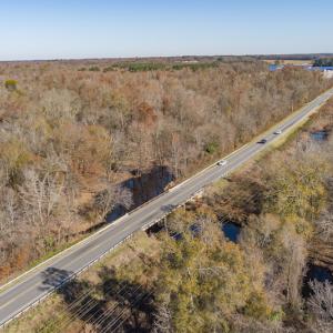 Photo #8 of SOLD property in Off NC 11, Albertson, NC 13.0 acres