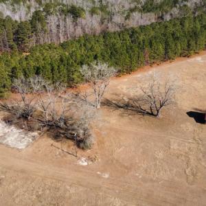 Photo #5 of SOLD property in 471 Dudley Road, Latta, SC 61.6 acres