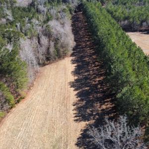 Photo #7 of SOLD property in 471 Dudley Road, Latta, SC 61.6 acres