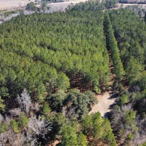Photo #11 of SOLD property in 471 Dudley Road, Latta, SC 61.6 acres