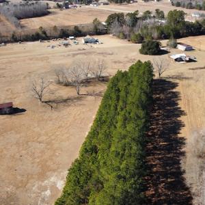 Photo #12 of SOLD property in 471 Dudley Road, Latta, SC 61.6 acres