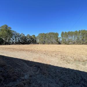 Photo #18 of SOLD property in 471 Dudley Road, Latta, SC 61.6 acres