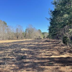 Photo #21 of SOLD property in 471 Dudley Road, Latta, SC 61.6 acres