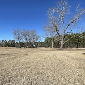 Photo #25 of SOLD property in 471 Dudley Road, Latta, SC 61.6 acres