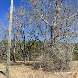 Photo #28 of SOLD property in 471 Dudley Road, Latta, SC 61.6 acres