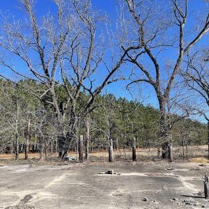 Photo #29 of SOLD property in 471 Dudley Road, Latta, SC 61.6 acres