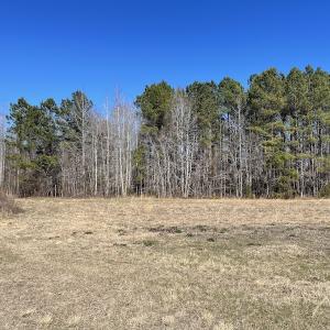 Photo #30 of SOLD property in 471 Dudley Road, Latta, SC 61.6 acres