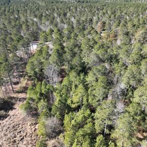 Photo #9 of SOLD property in 325 Trailwood Court, Edenton, NC 16.8 acres